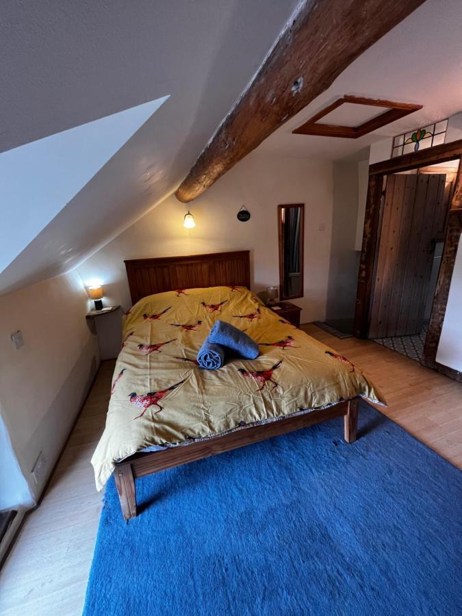 Annie'S Cottage Llanrhaeadr-ym-Mochnant Dış mekan fotoğraf